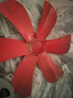 for