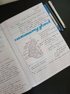 content writing