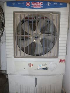 large size cooler available