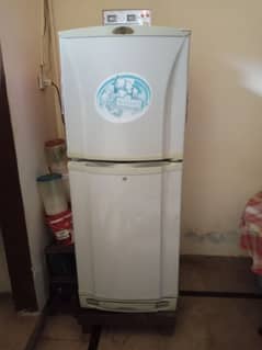 PEL Fridge