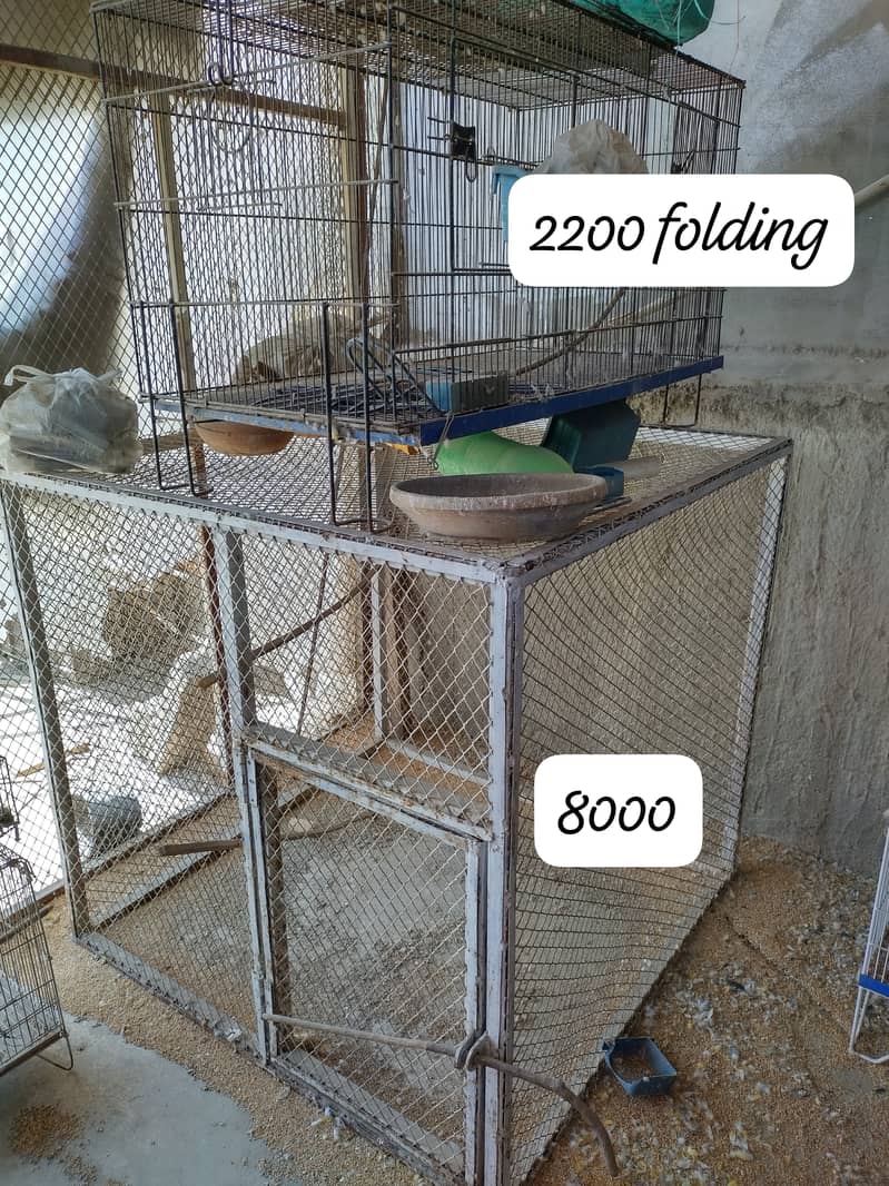 Cages 0