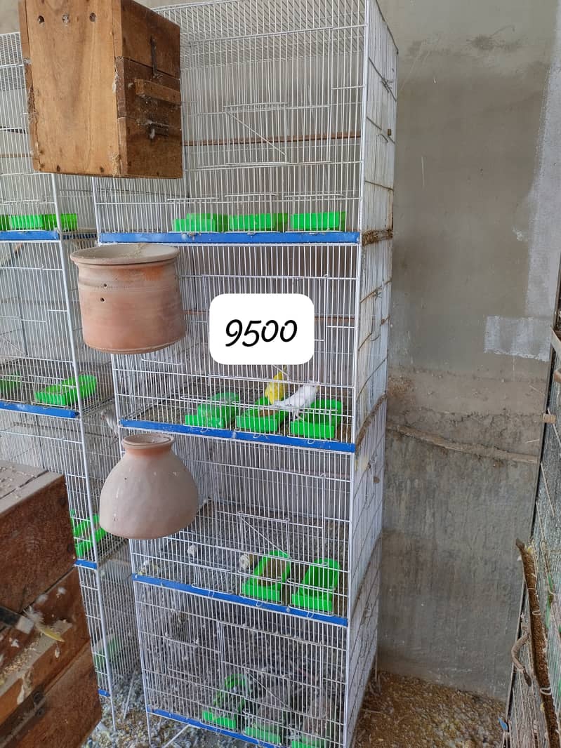 Cages 1