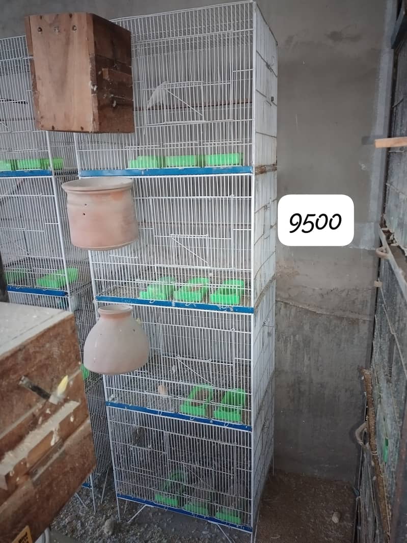 Cages 3