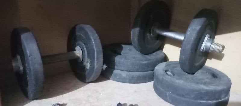 exercise bench 0