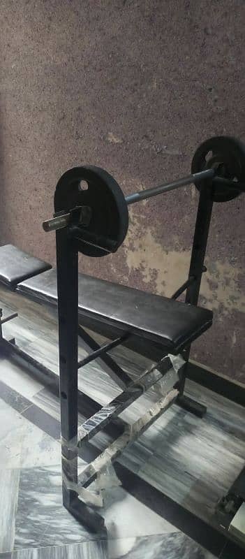 exercise bench 1