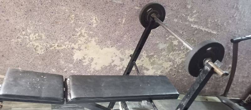 exercise bench 3