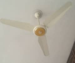 ceiling fans