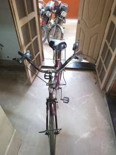 Bicycle