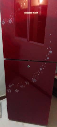 changhoung ruba 14 cf compressor problem,