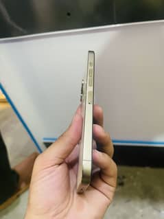 13promax NON PTA