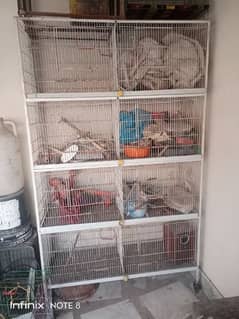 Birds Cage for sale