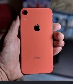 Xr