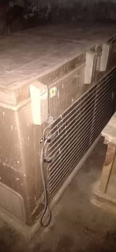 dawlance freezer for sale