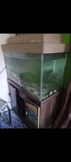 big size aquarium