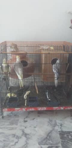 40000