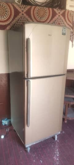 higher ka  fridge Bada 304 number hai