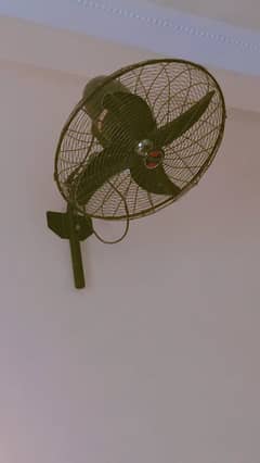 Fan