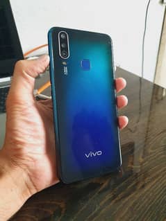 Vivo