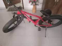 fat tire bicycle