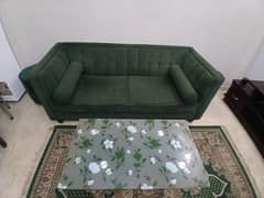 Flat 2 Seater Green colour Sofa