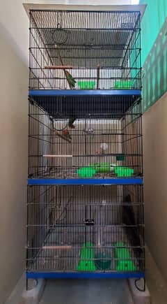 Master cage 3 portions