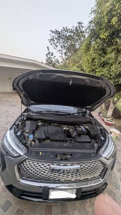 Haval Jolion 2021 import 2022-Reg.