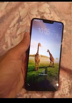 vivo