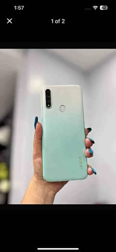 A31