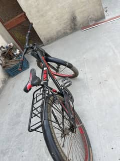 Morgan cycle 2023 model