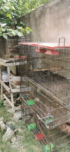 cage