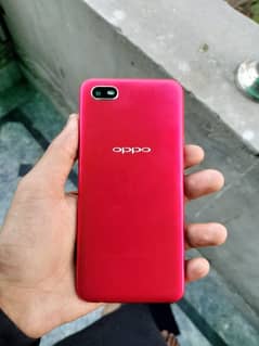 OppO