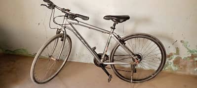 bicycle for sell.