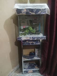 aquarium