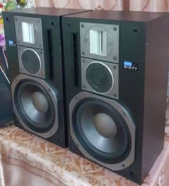 pioneer