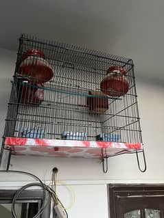 Cage for sell