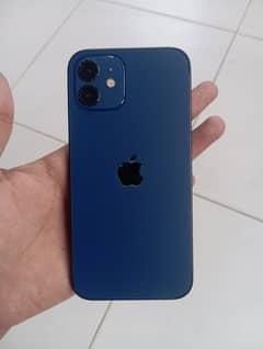 Apple iPhone 12