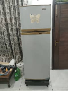 DAWLENCE Refrigerator