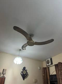 fan for selling