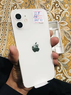 iPhone 12, 128GB PTA Approved