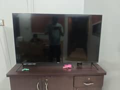 Haier