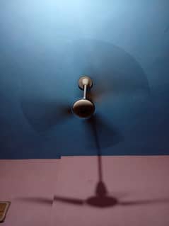 GFC ceiling fan for sell
