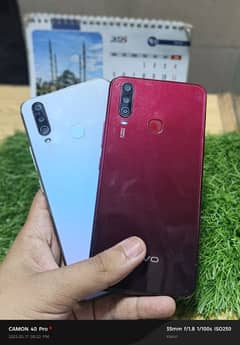 vivo