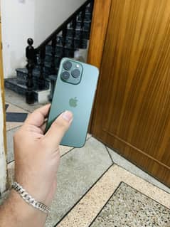 13pro