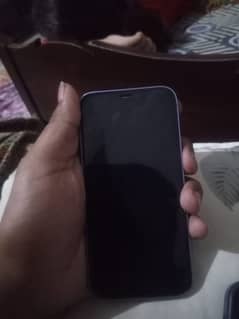 iPhone 12 mini