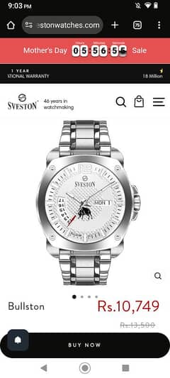 Sevestion Bullston watch