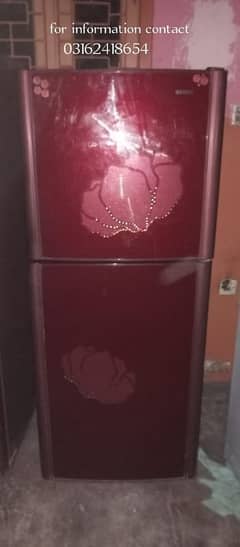 Orient medium size Glass door fridge for sale