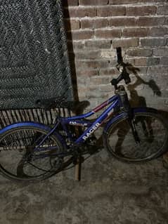 Bicycle for sale