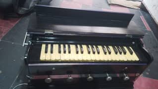 TS Reeds harmonium