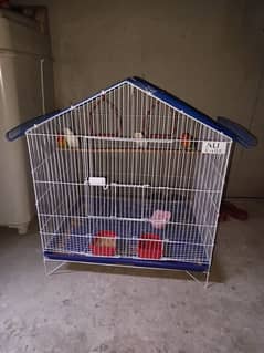 Big Offer Lovebird 2 pairs with brand new big size cage