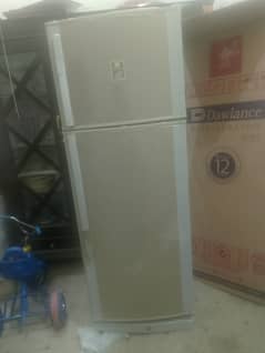 Fridge
